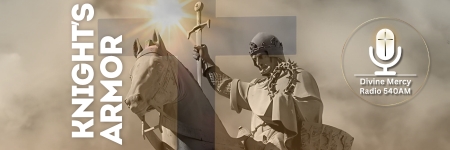 Knight's Armor head image