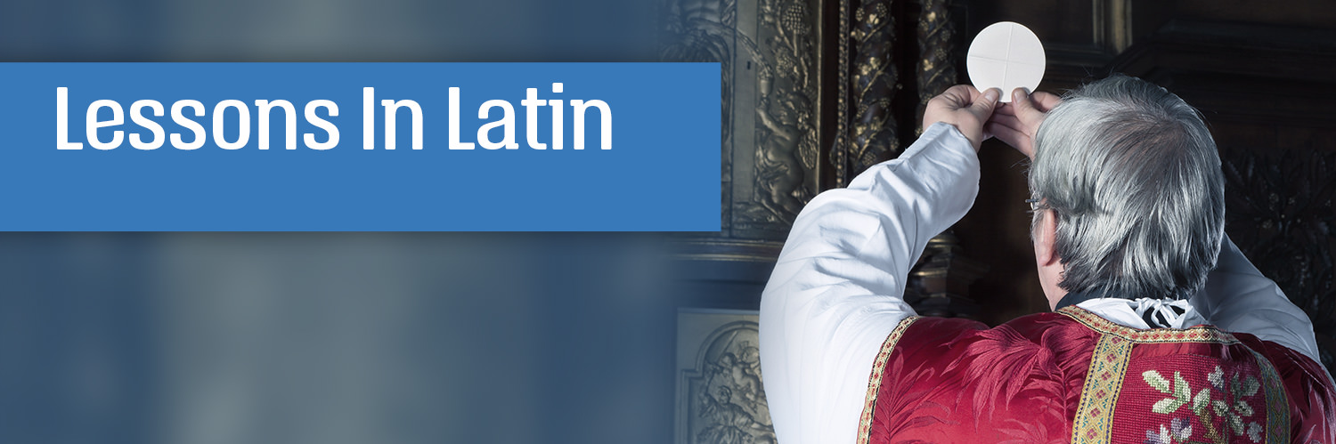 Lessons in Latin head image